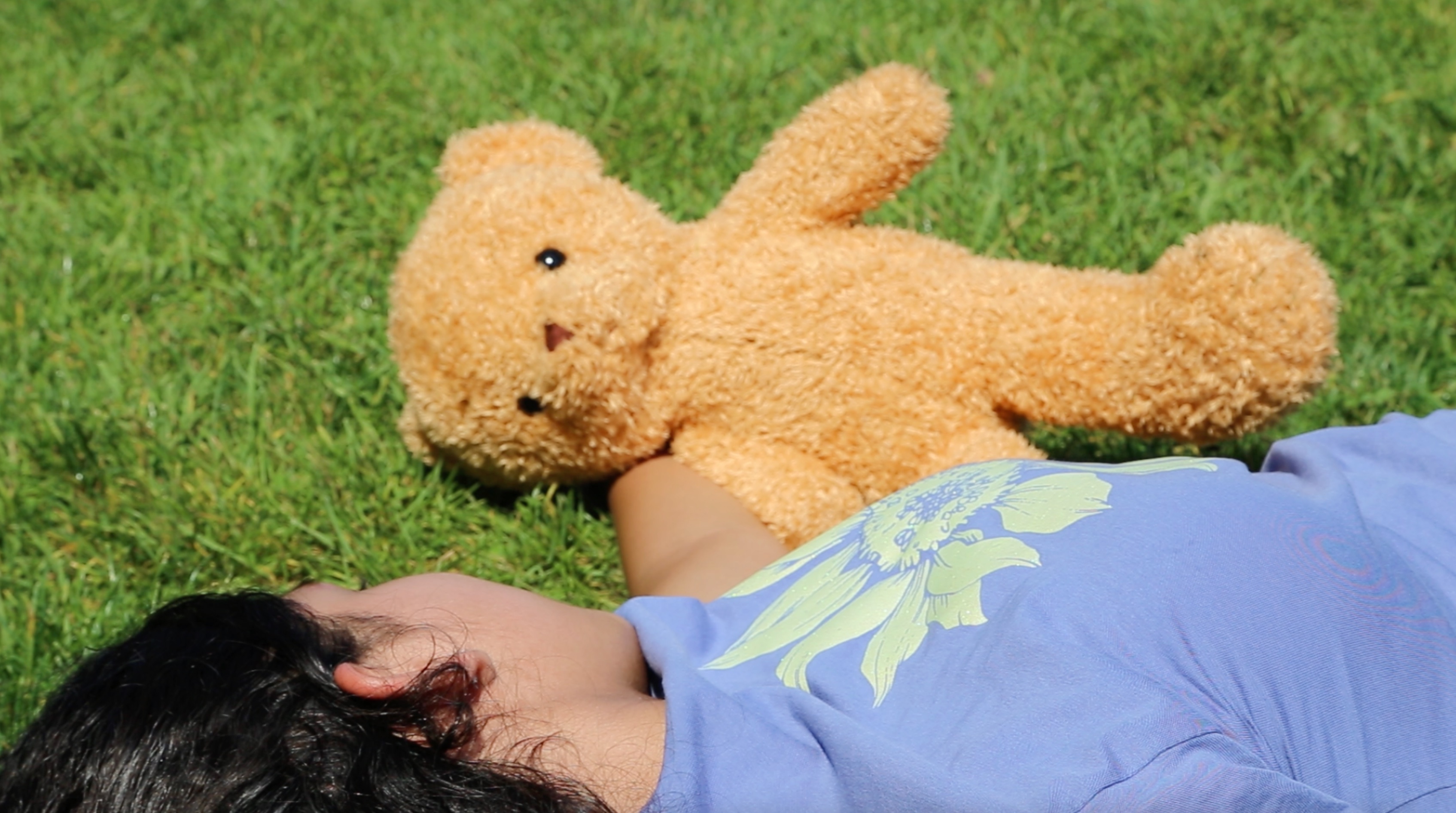Charm Bears